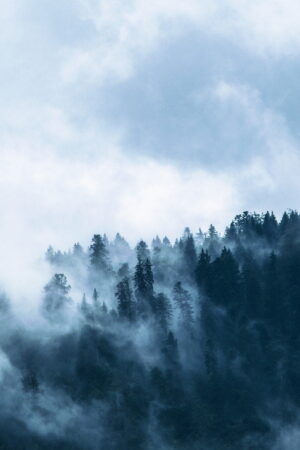 Fog | مه