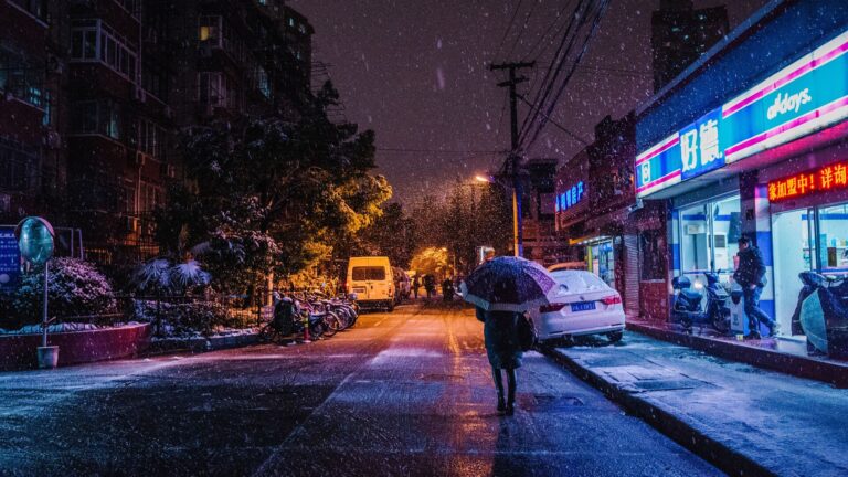 Snow Night | شب برفی