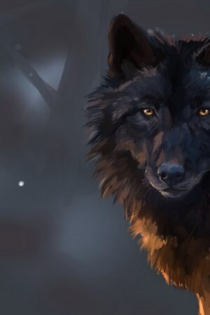 Wolf - Art