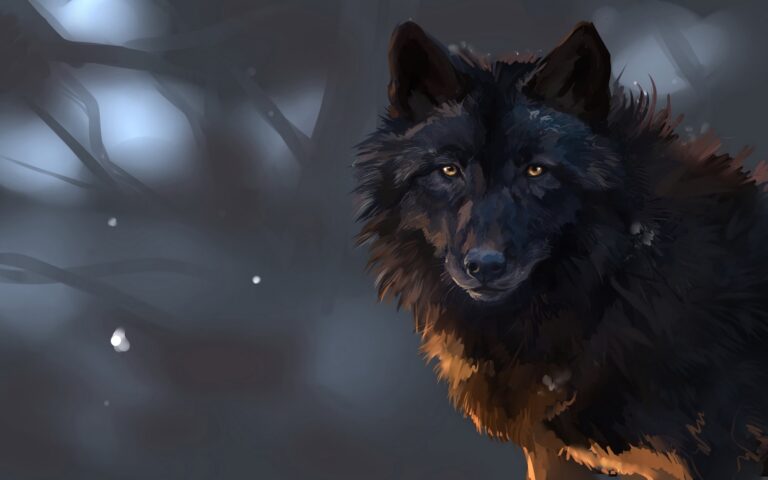 Wolf - Art