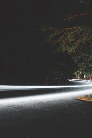 Forest and dark road